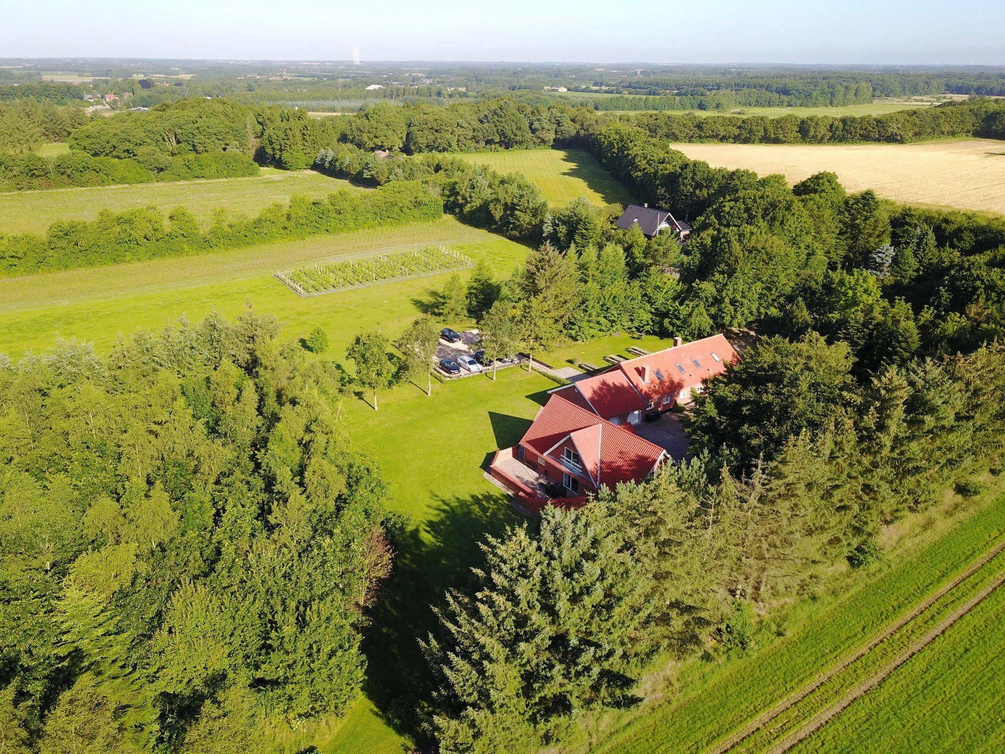 Egebjerggaard Bed & Breakfast Sig Экстерьер фото